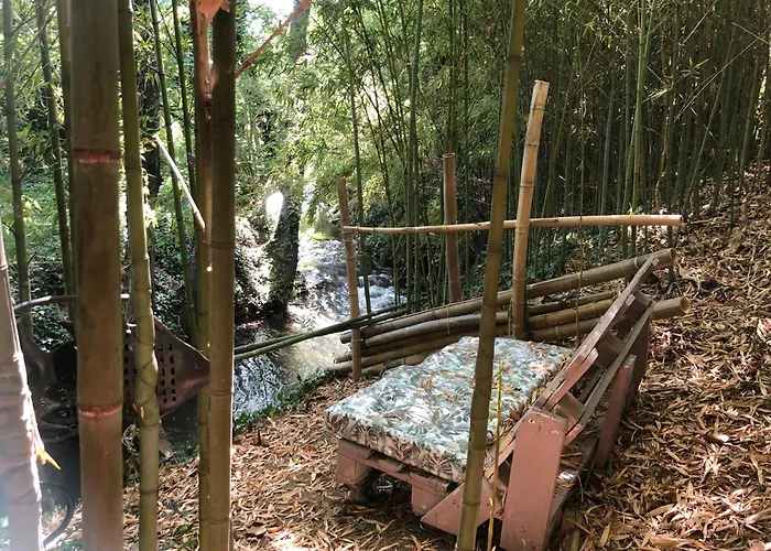 Le Moulin De Mon Coeur2 *