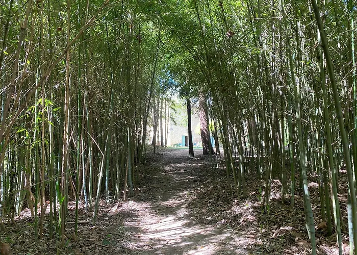 Le Moulin De Mon Coeur2